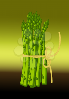 asparagus. stem ang herb on a green background