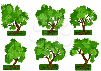set of vector trees isolated on white background