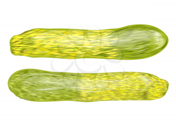 zucchini two tone isolated on white background