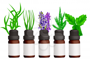 essential oil set isolated on white background