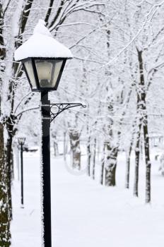 Winter park covered with fresh white snow
