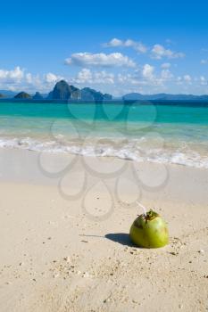 Green coconut on tropical white sand beach, Philippines