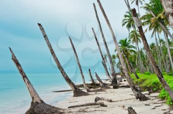 Desert island coastline after Tsunami, Banyak Archipelago, Aceh, Indonesia, Southeast Asia