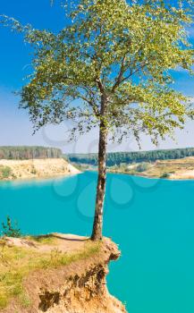 Landscape with lonely tree over blue lake on sky background, Blue Lake, Russia, East Europe
