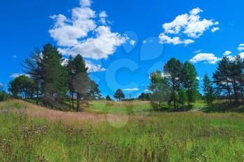 Beautiful summer landscape with forest, grass, sky and clouds