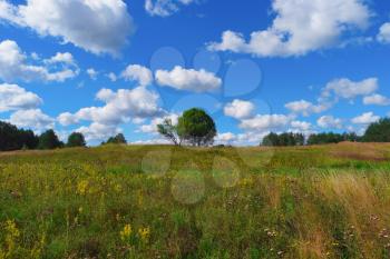 Summer landscape with grass, trees, sky and clouds