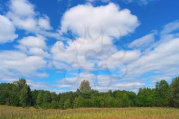 Beautiful summer landscape with sky, clouds, grass and trees