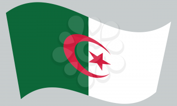 Algerian national official flag. African patriotic symbol, banner, element, background. Correct colors. Flag of Algeria waving on gray background, vector