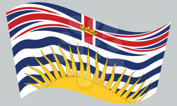 Canadian provincial BC patriotic element and official symbol. Canada banner and background. Flag of the Canadian province of British Columbia waving on gray background, vector