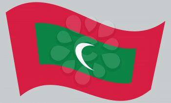Maldivian national official flag. Patriotic symbol, banner, element, background. Correct colors. Flag of Maldives waving on gray background, vector