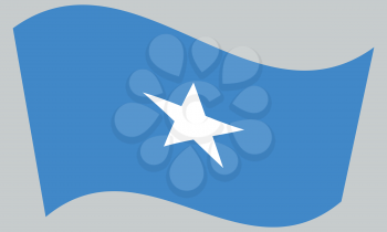 Somali national official flag. African patriotic symbol, banner, element, background. Correct colors. Flag of Somalia waving on gray background, vector