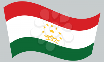 Tajikistani national official flag. Patriotic symbol, banner, element, background. Correct colors. Flag of Tajikistan waving on gray background, vector