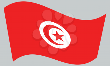 Tunisian national official flag. African patriotic symbol, banner, element, background. Correct colors. Flag of Tunisia waving on gray background, vector