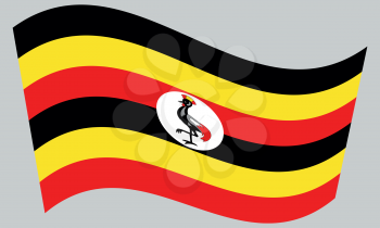 Ugandan national official flag. African patriotic symbol, banner, element, background. Correct colors. Flag of Uganda waving on gray background, vector