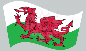 Welsh national official flag. Patriotic symbol, banner, element, background. Correct colors. Flag of Wales waving on gray background, vector