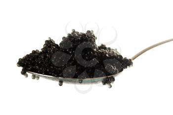 Black caviar on a spoon isolated on white