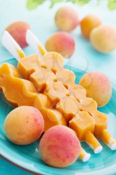 Apricot ice cream and fresh apricots, still life