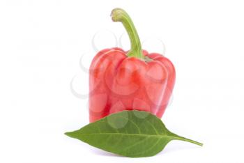Red sweet pepper with leaf on a white background.