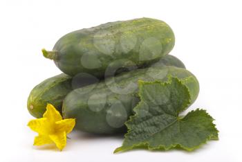 Cucumbers with yellow flower.