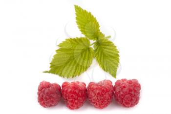 Ripe raspberries with green leaves on a white background