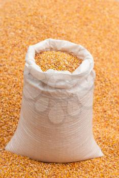 Corn grain in a bag.
