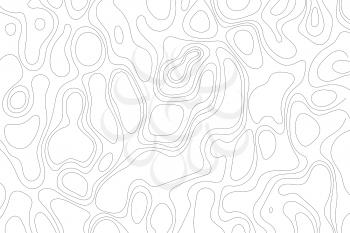 Abstract topographic map lines. Vector illustration .