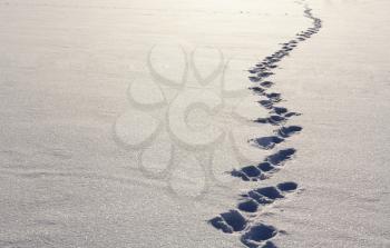 Human Footprints In Deep Snow On Sunny Day