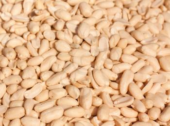 Peanuts Background. Close up of fried, peeled and salted peanuts.