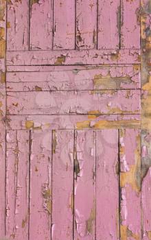 The Pink Grunge Wood Texture. Surface Of Old Wooded Door Paint Over.