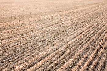 Background Of Newly Plowed Field Ready For New Crops. Ploughed Field In Autumn. Farm, Agricultural Background