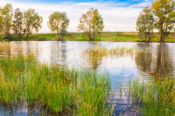 Autumn Forest River Lake Landscape. Sunny Day, Blue Sky