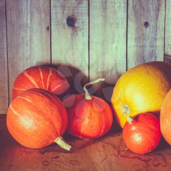 Pumpkins On Grunge Wooden Backdrop, Background Table. Autumn, Halloween, Pumpkin