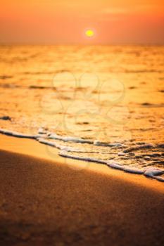 Soft Sea Ocean Waves Wash Over Golden Sand Background. Sunset, Sunrise, Sun. Close Focus Waves