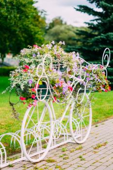 Decorative Vintage Model Of Old Bicycle Equipped With Basket Of Flowers. Toned photo. White Bike Parking With Flower Bed In Summer Day