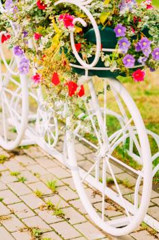 Decorative Vintage Model Of Old Bicycle Equipped With Basket Of Flowers. Toned photo. White Bike Parking With Flower Bed In Summer Day
