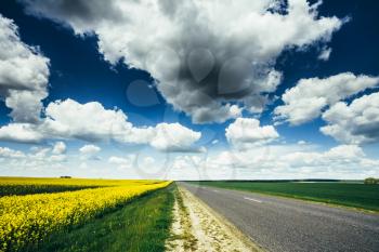 Empty Asphalt Countryside Road Through Fields With Yellow Flowering Canola Rapecolza Canola In Spring. Sunny Day White Clouds On Blue Sky