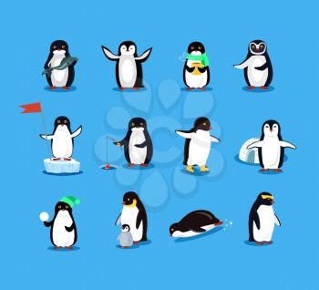 Set of animal penguin design flat. Penguin bird, penguin vector, animals winter, penguin isolated, animal penguin, cartoon penguin, polar penguin in scarf, wild penguin character illustration