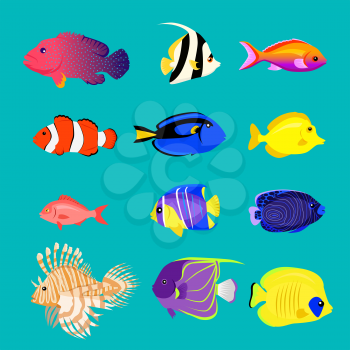 Set of sea fish color design flat. Sea and fish, ocean fish animal, nature cartoon sea fish, wildlife aquarium, underwater life sea fish, exotic sea fish, drawing marine fauna sea fish illustration