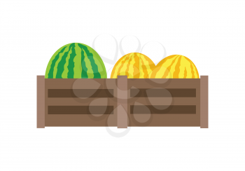 Melon or yellow watermelon on wooden boxes vector in flat style design. Fruit illustration for conceptual banners, icons, mobile app pictogram, and logotype element. Isolated on white background.     
