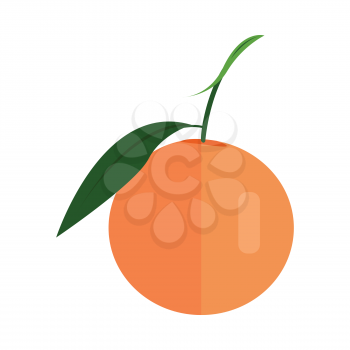 Orange vector in flat style design. Fruit illustration for conceptual banners, icons, mobile app pictogram, infographic, and logotype element. Isolated on white background.     