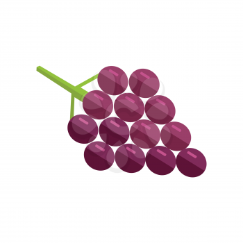 Grape vector in flat style design. Fruit illustration for conceptual banners, icons, mobile app pictogram, infographic, and logotype element. Isolated on white background.     