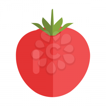 Tomato vector in flat style design. Vegetable illustration for conceptual banners, icons, app pictogram, infographic, and logotype elements. Isolated on white background.     