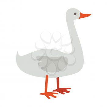 Goose illustration. Vector in flat style design. Domestic animal. Country inhabitants concept. Picture for farming, animal husbandry, meat production companies. Isolated on white background.