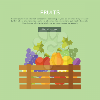 Fruits vector web banner. Flat design. Illustration of wooden box full of fresh farm plants on color background for web pages design. Farming concept with pear, apple, grapes, plum, lemon.       