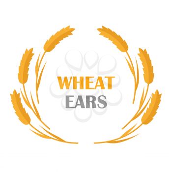 Wheat Ears vector banner in flat style design. New harvest, grain growing concept. Illustration for bakery, bread store, agricultural company logo design. Ripe ears with text on white background.
