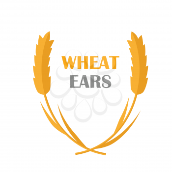 Wheat Ears vector banner in flat style design. New harvest, grain growing concept. Illustration for bakery, bread store, agricultural company logo design. Ripe ears with text on white background.   