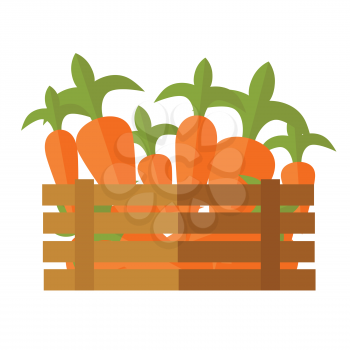 Fresh carrot at the market vector. Flat design. Delivery farm products, grocery store assortment, foods for diet concept. Illustration of wooden box full of ripe vegetables. Isolated on white.