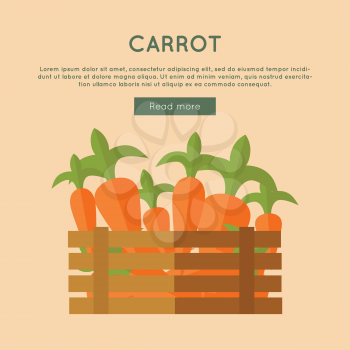 Carrot vector web banner. Flat design. Illustration of wooden box full of fresh and ripe carrot on color background for grocery shop, farm, agricultural company web page design. 