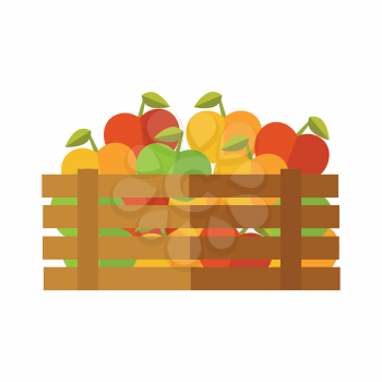 Fresh apples at the market vector. Flat design. Delivery farm products, grocery store assortment, foods for diet concept. Illustration of wooden box full of ripe vegetables. Isolated on white.