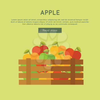 Apple vector web banner. Flat design. Illustration of wooden box full of fresh and ripe fruits on color background for grocery shop, farm, agricultural company web page design. 